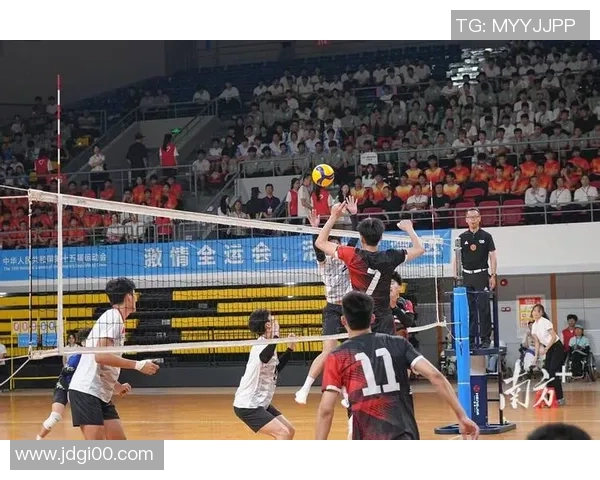 广州排球队实力分析与表现评估：数据透视与未来展望