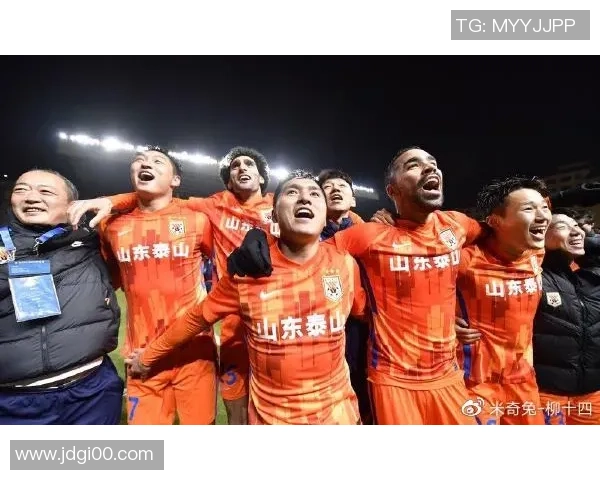 南京足球队与上海足球队赛后复盘分析：团队配合与战术执行的深度探讨