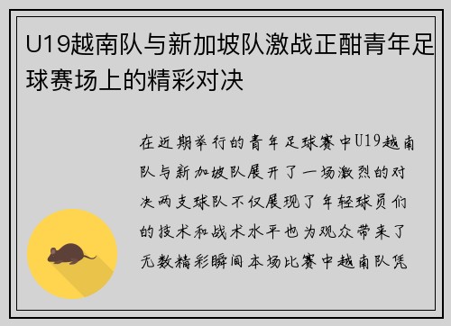 U19越南队与新加坡队激战正酣青年足球赛场上的精彩对决